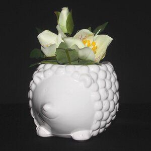 Hedgehog Plant Pot | Animal Flower Pot | Indoor Planter